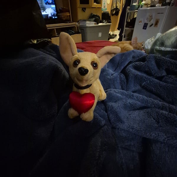 Taco Bell Chihuahua Plush Toy Holding Red Heart