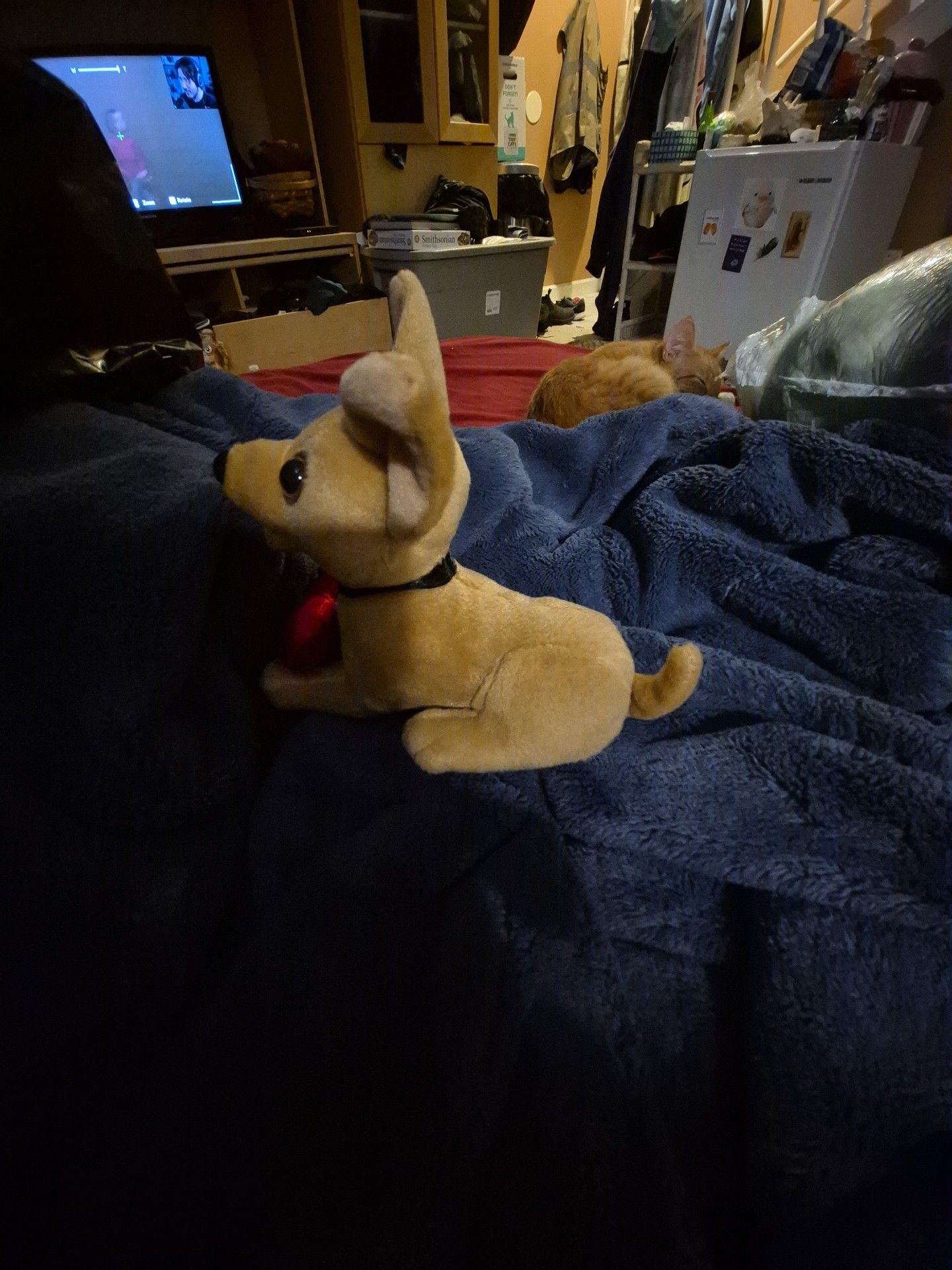 Taco Bell Chihuahua Plush Toy Holding Red Heart 2