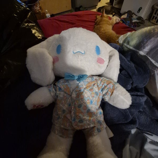 Build-A-Bear Cinnamoroll 17