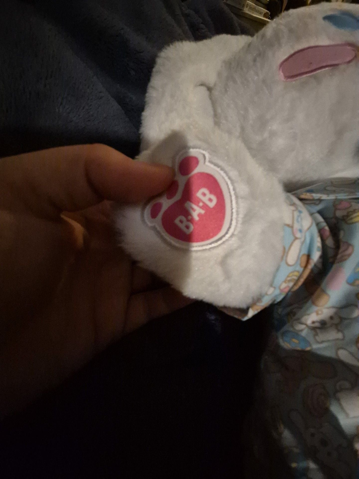 Build-A-Bear Cinnamoroll 17 3
