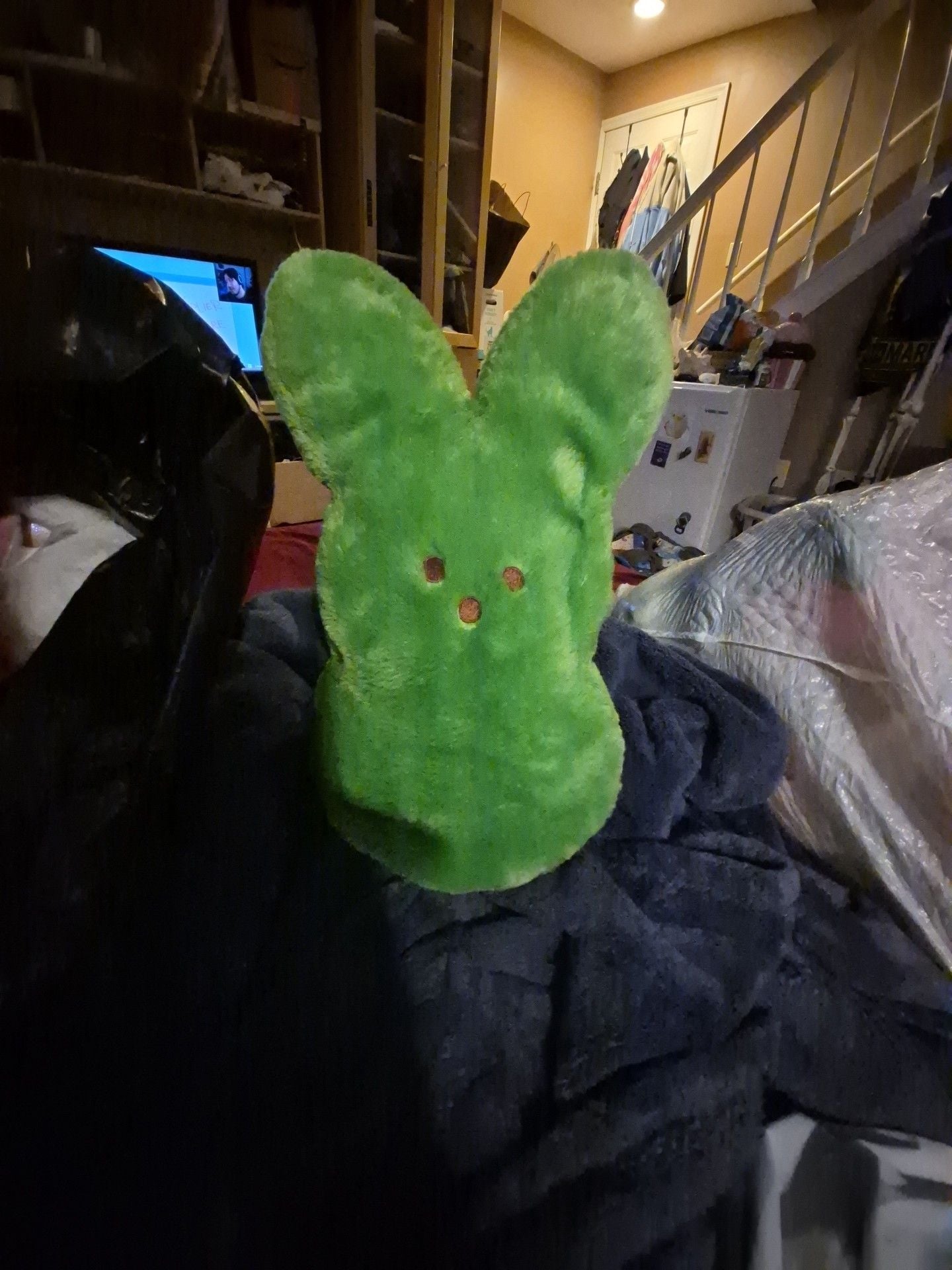 Peeps Green Bunny Plush Shaggy Stuffed Toy 1