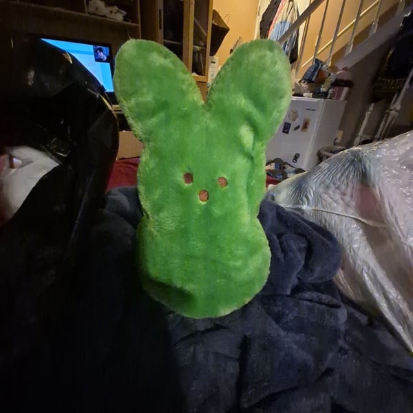 Peeps Green Bunny Plush Shaggy Stuffed Toy