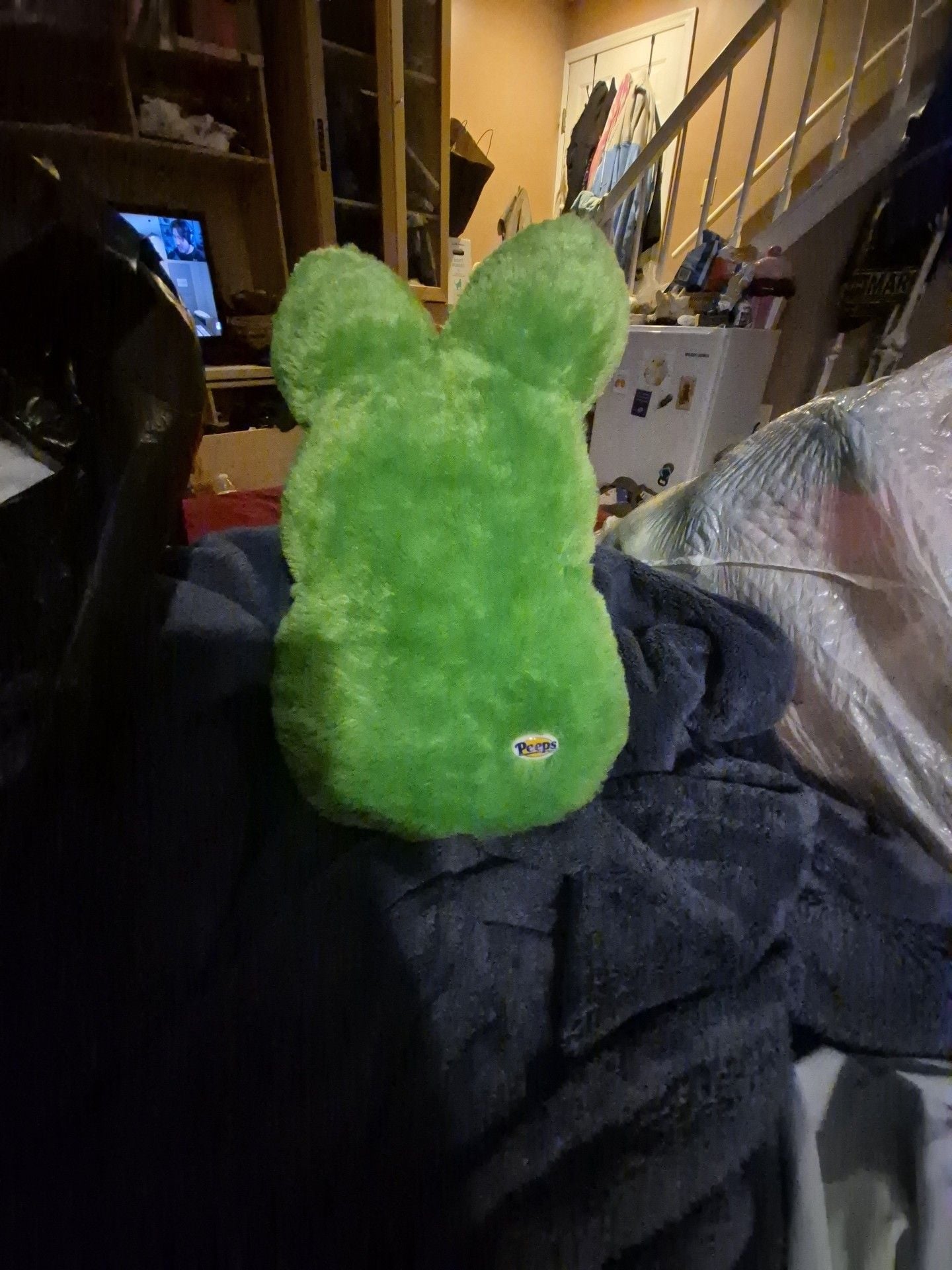 Peeps Green Bunny Plush Shaggy Stuffed Toy 2