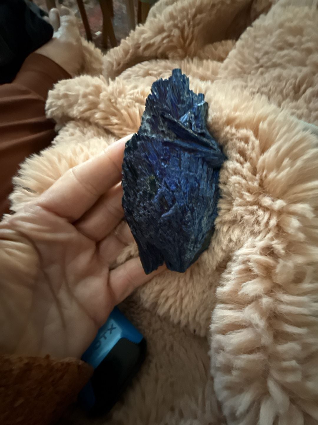 Titanium Coated Black Kyanite Crystal Cluster Blue Feather Specimen 1