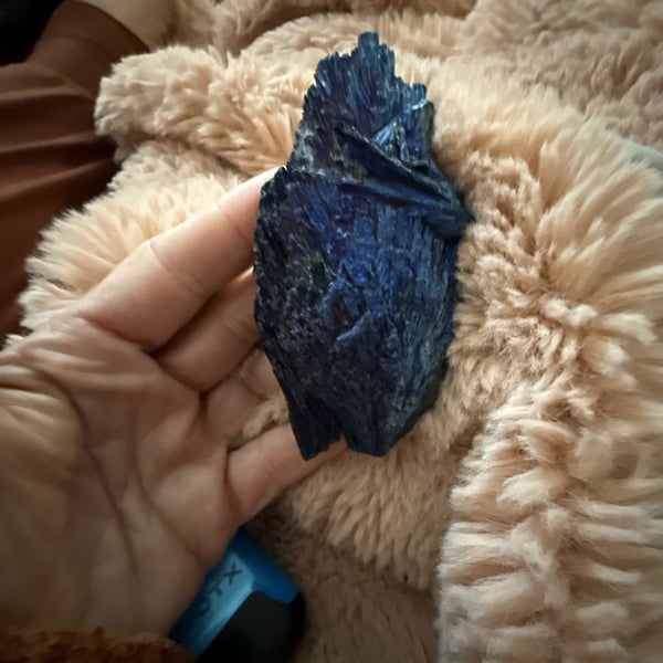 Titanium Coated Black Kyanite Crystal Cluster Blue Feather Specimen