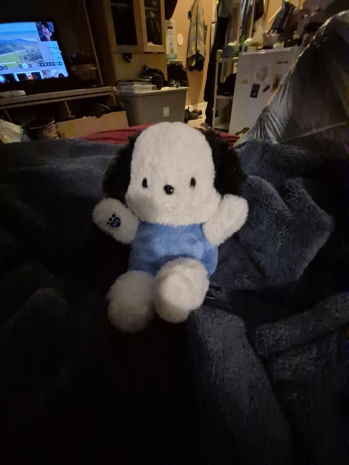 Build-A-Bear Sanrio Pochacco Mini Bean Plush Toy 1