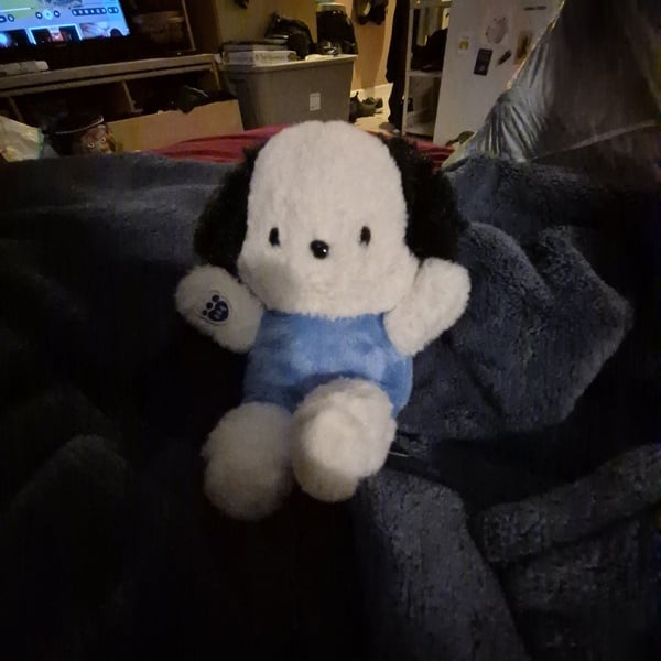 Build-A-Bear Sanrio Pochacco Mini Bean Plush Toy