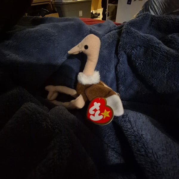 Ty Beanie Babies Stretch The Ostrich Plush Toy with Tag