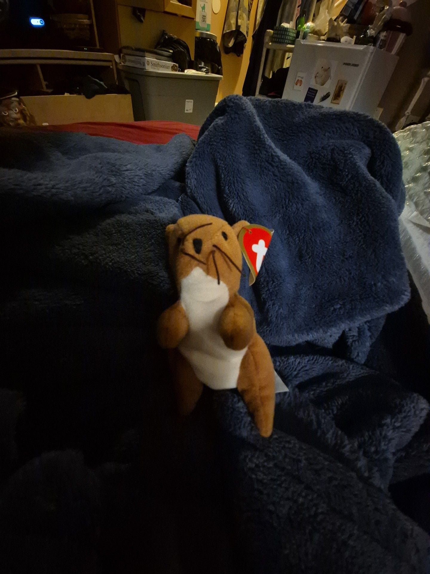 Ty Beanie Babies Nuts The Squirrel Plush Toy 1