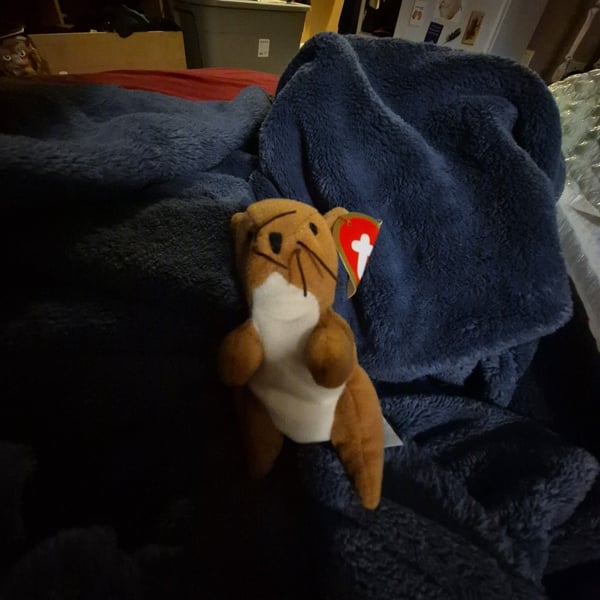 Ty Beanie Babies Nuts The Squirrel Plush Toy