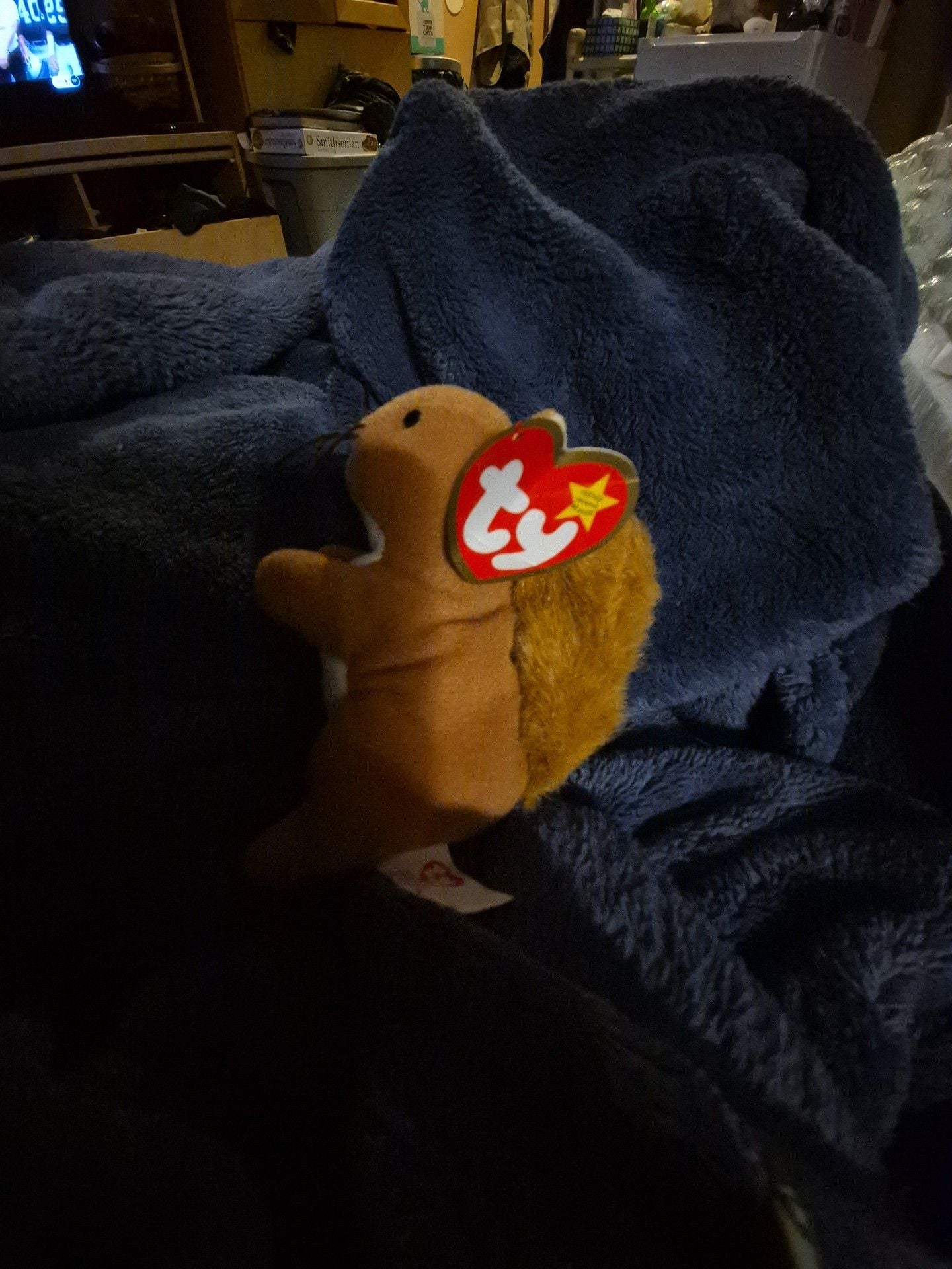 Ty Beanie Babies Nuts The Squirrel Plush Toy 2