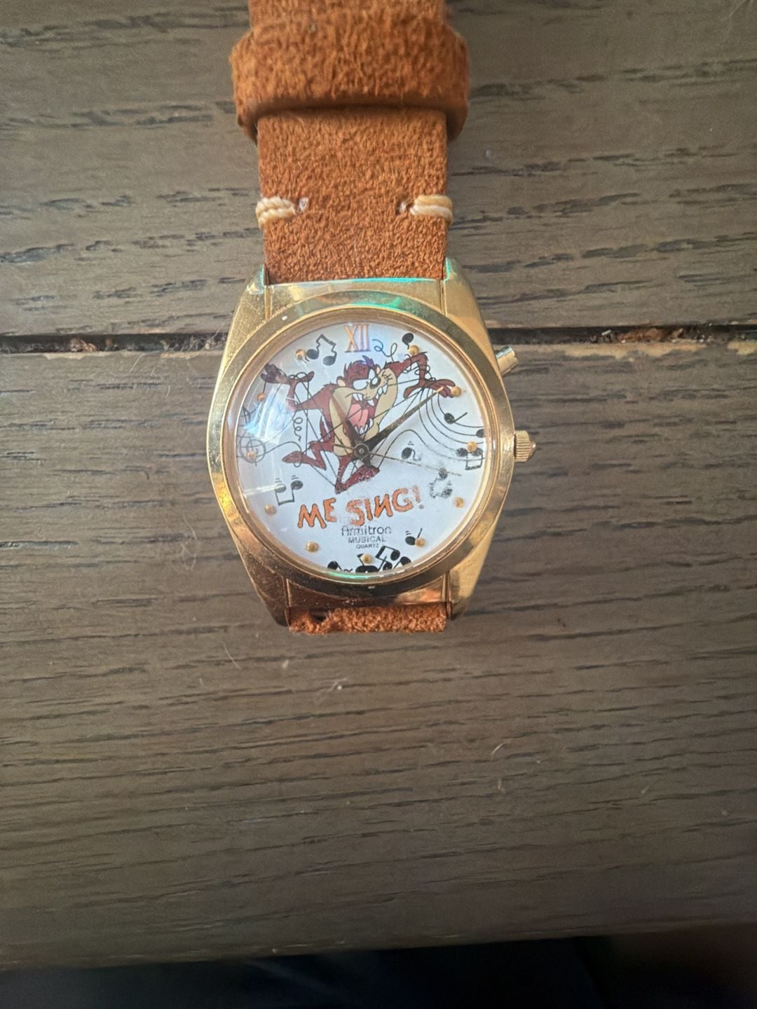 Armitron Taz Tasmanian Devil Me Sing Musical Watch 1994 1