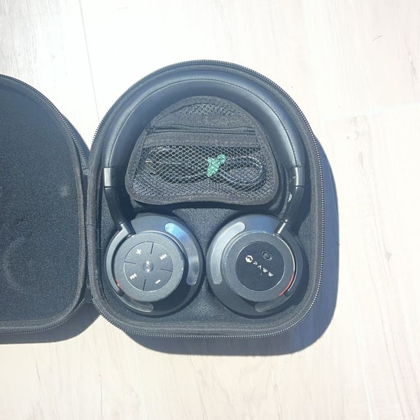 Paww Wireless Bluetooth Headphones With Case Black