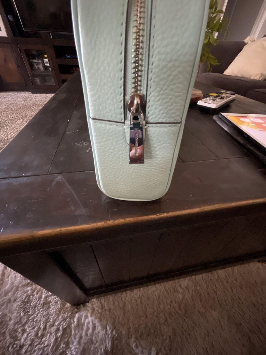 Michael kors Travel Pouch Clutch Aqua Green 6