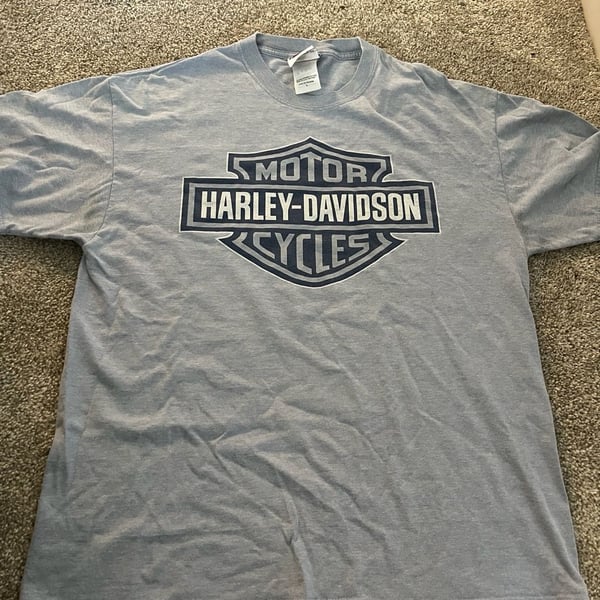 Harley Davidson Smoky Mountain T-Shirt Size L Gray Tennessee Biker Bear