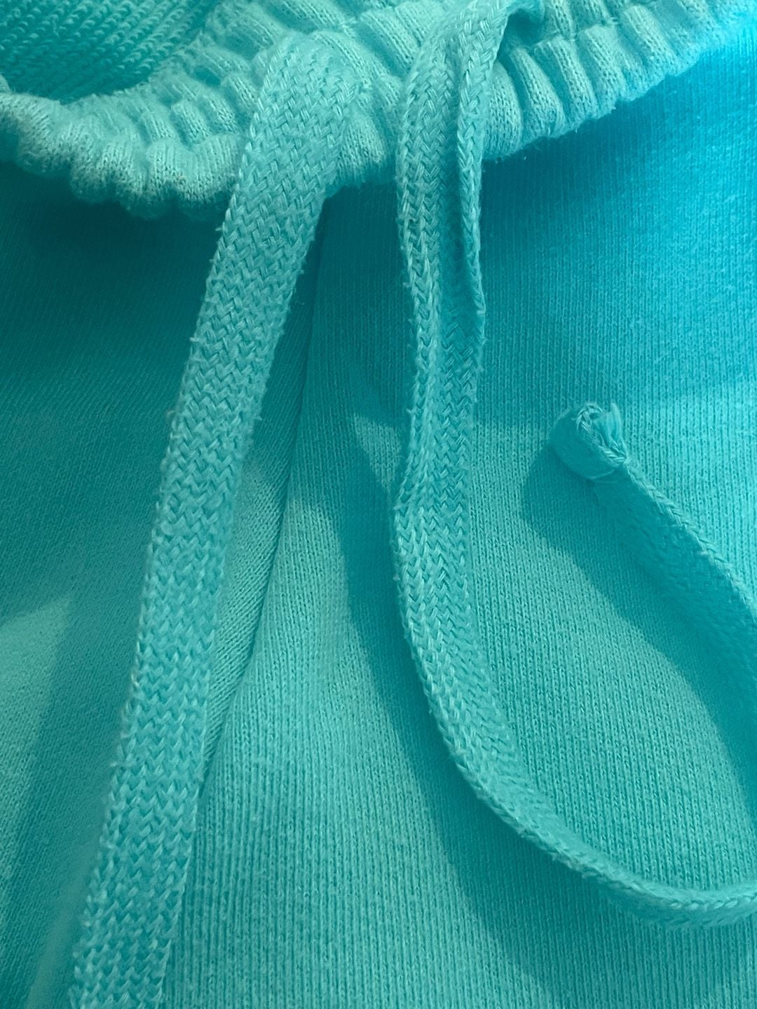 Champion French Terry Short Size L Aqua Blue 4