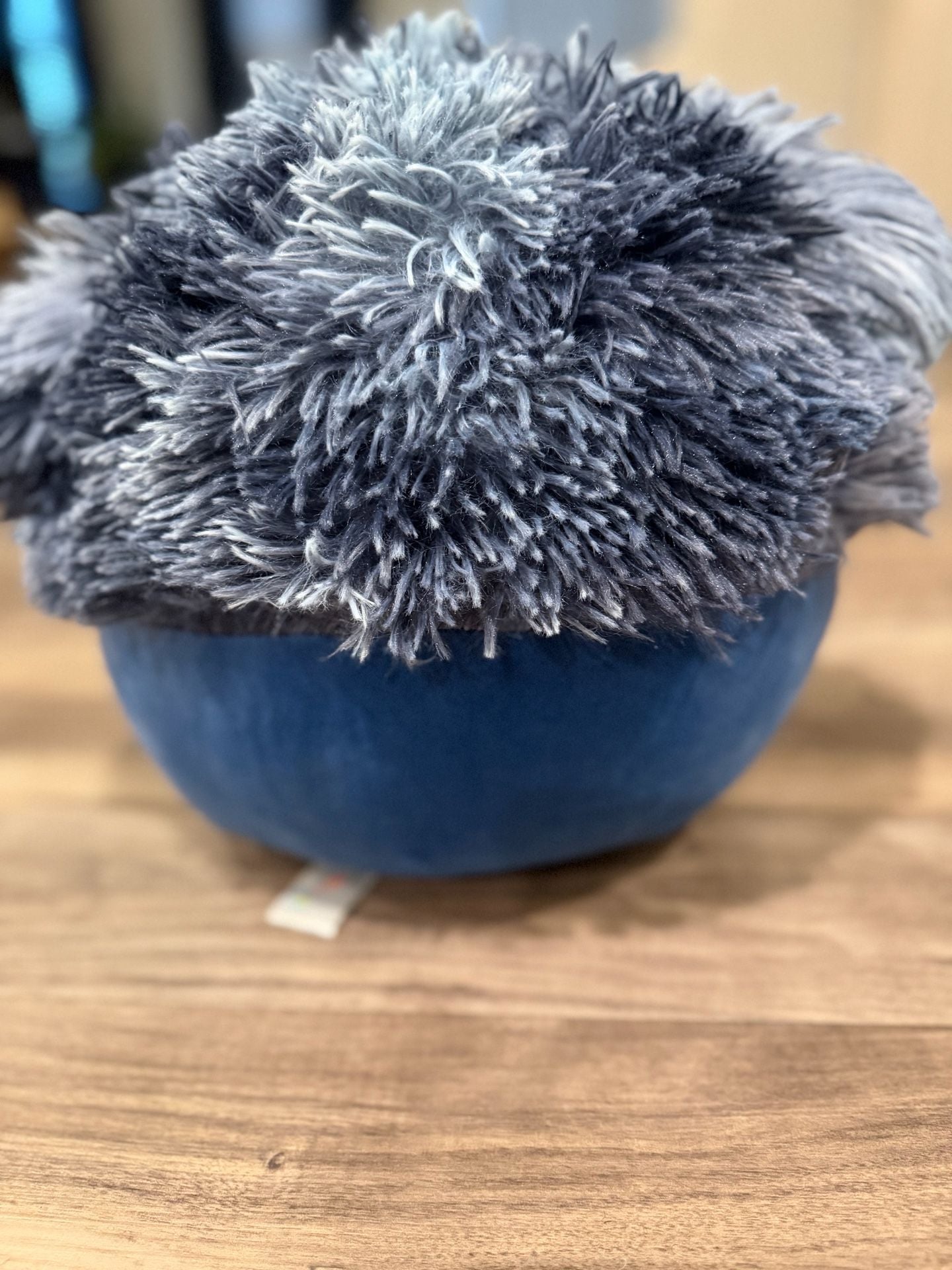 Squishmallows Dani The Navy Blue Bigfoot Plush 3