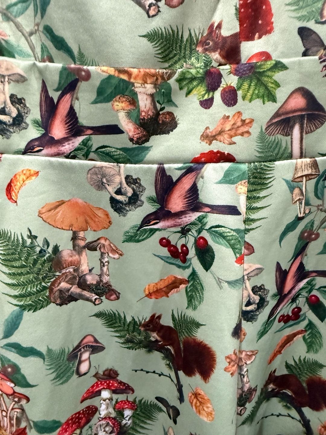 Dolly and Dotty Mushroom Woodland Print Swing Dress USA Size 8 whimsigoth, boho 10