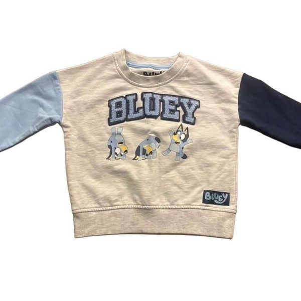Toddler Bluey Colorblock French Terry Sweatshirt - Grey