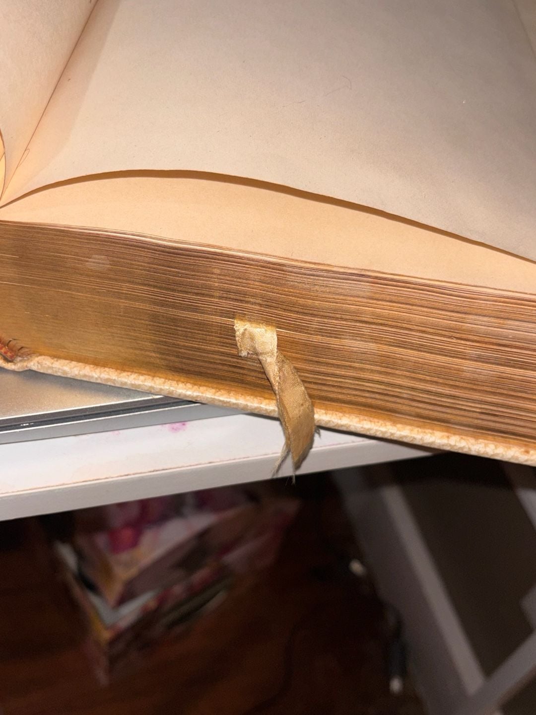 Good Counsel Publishing The Holy Bible Collector's Edition 5