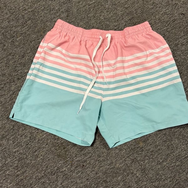 Chubbies The On The Horizons 5.5 Swim Trunks XXL Pink Blue