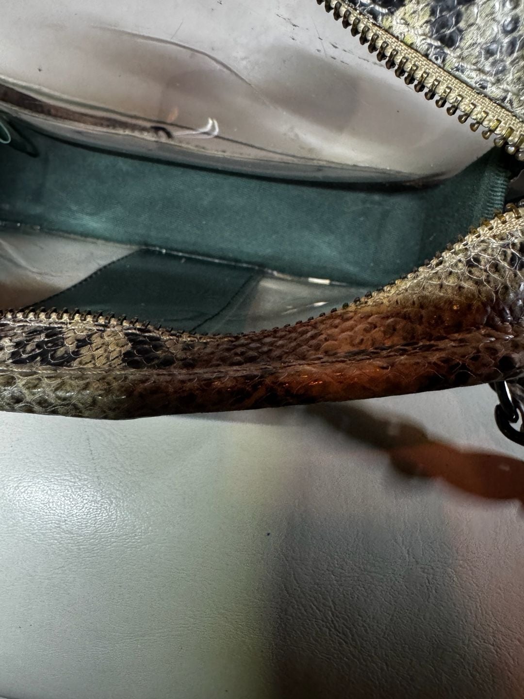Kelly Wynne Clear Mingle Mingle Mini leather crossbody stadium bag snakeskin 11