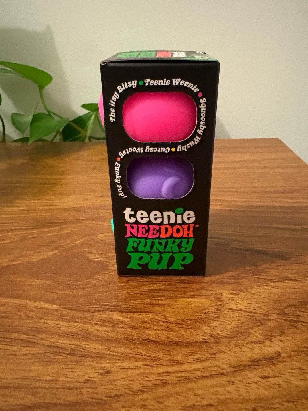 Schylling Teenie NeeDoh Funky Pup 3 Pack Stress Toy 3