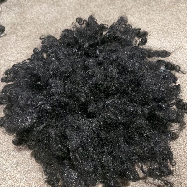 Halloween Costume - Long Curly Black Wig