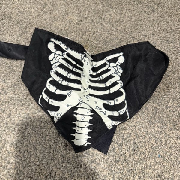 Dog Rubies Costume Co Skeleton Bandana Size S/M Black