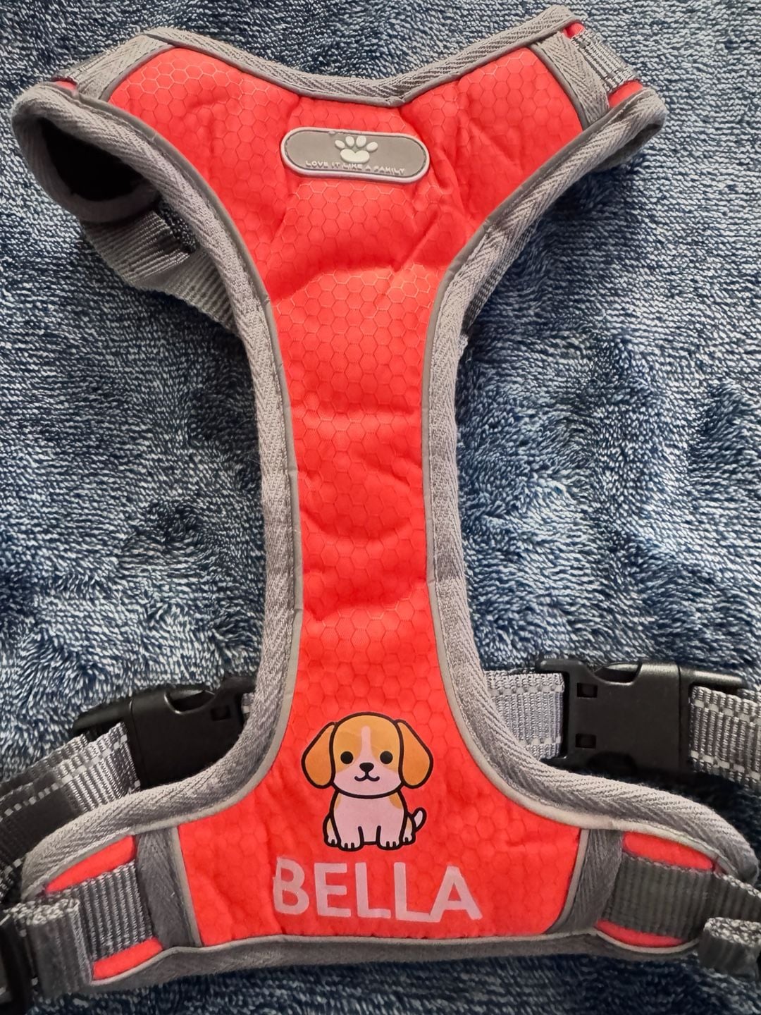 Love It Like A Family Personalized Dog Harness Orange Bella 1