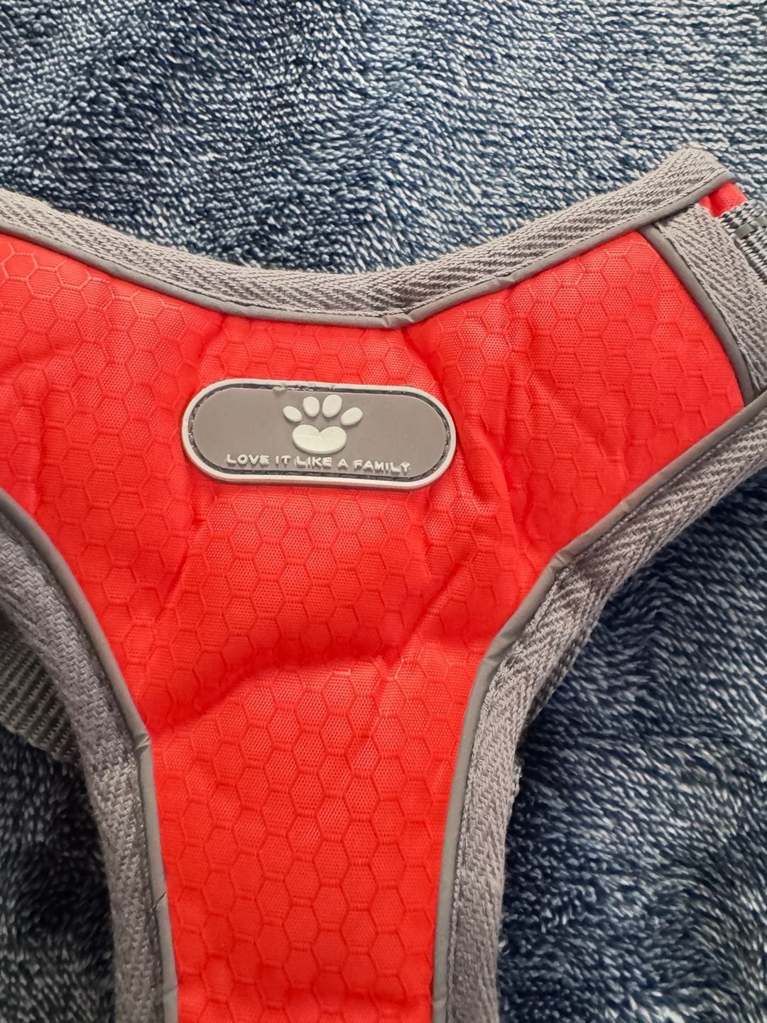 Love It Like A Family Personalized Dog Harness Orange Bella 2