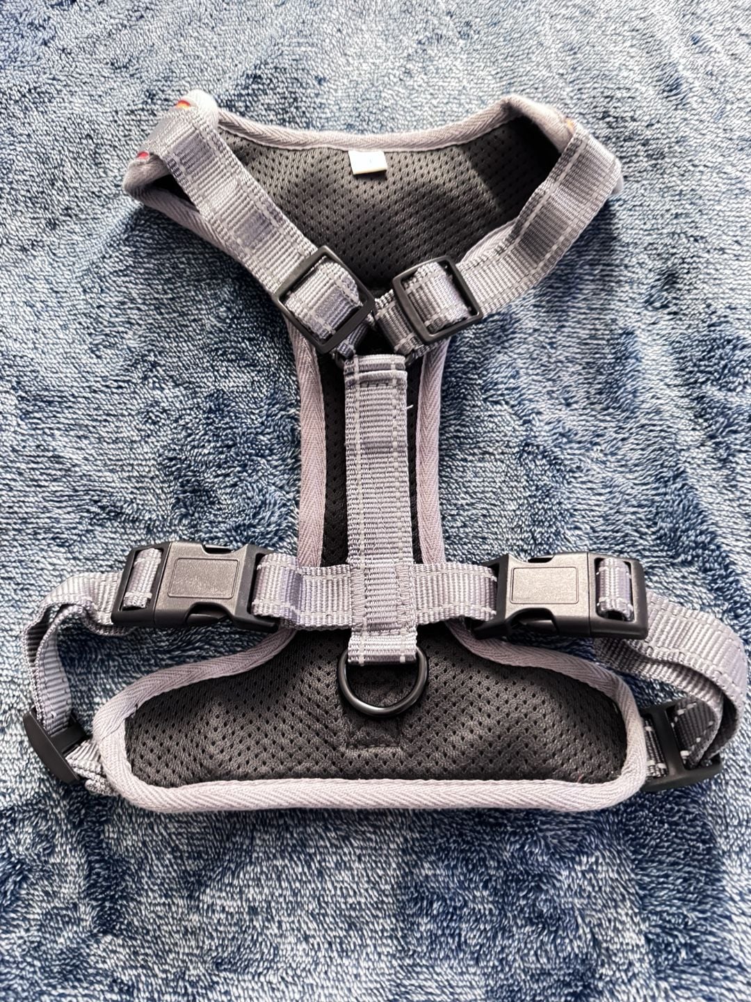Love It Like A Family Personalized Dog Harness Orange Bella 3