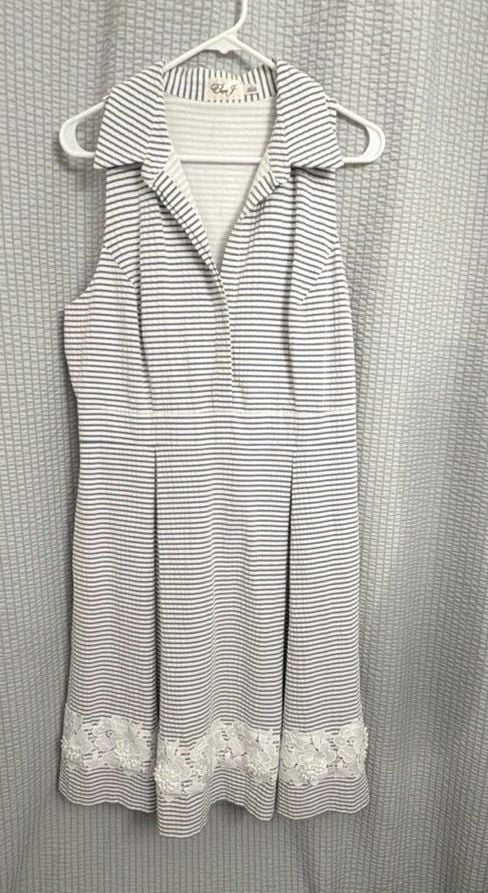 Eliza J Seersucker Fit and Flare Sleeveless Collared Mini Dress 2