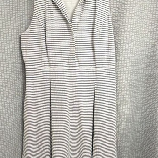 Eliza J Seersucker Fit and Flare Sleeveless Collared Mini Dress