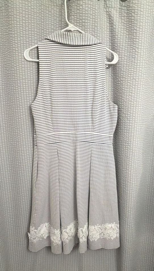 Eliza J Seersucker Fit and Flare Sleeveless Collared Mini Dress 3