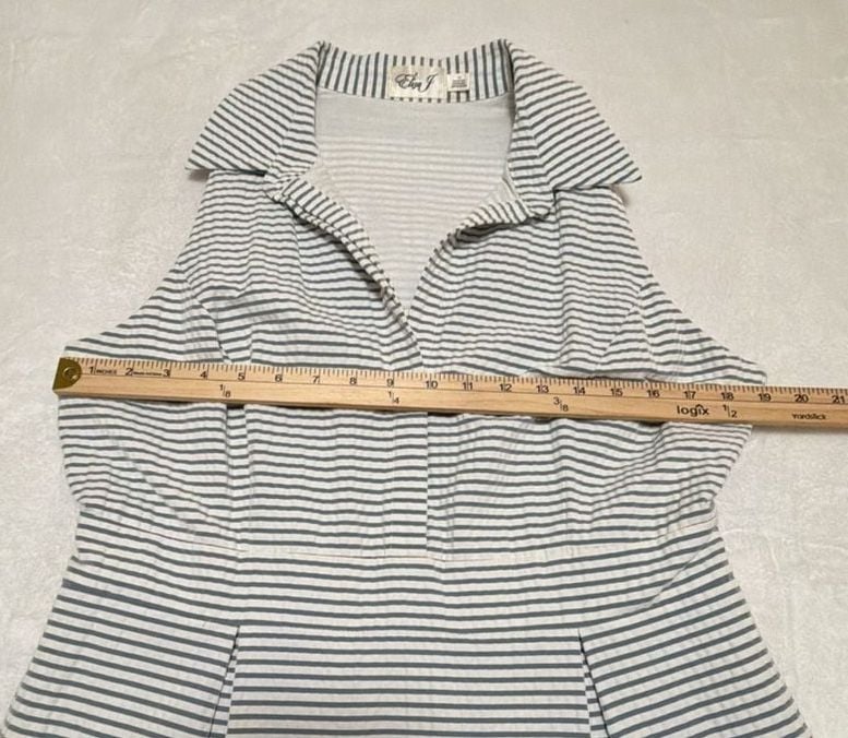 Eliza J Seersucker Fit and Flare Sleeveless Collared Mini Dress 5