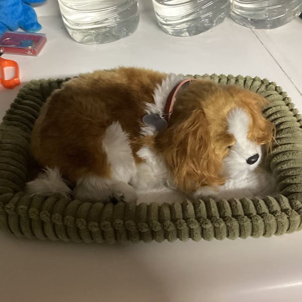 Perfect Petzzz Cavalier King Charles Spaniel Breathing Puppy Dog