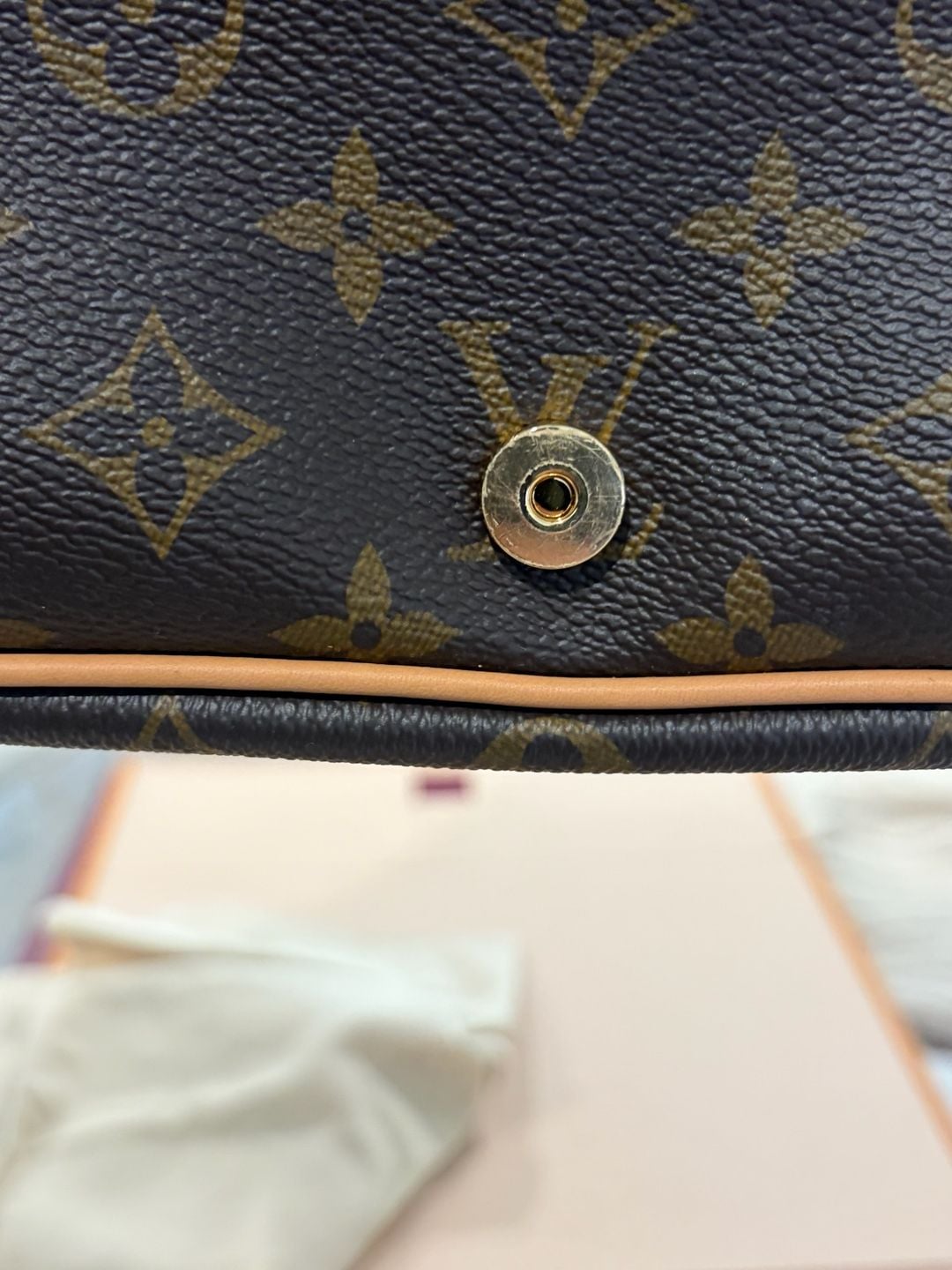 Louis Vuitton Diane Monogram Canvas Satchel Handbag 3