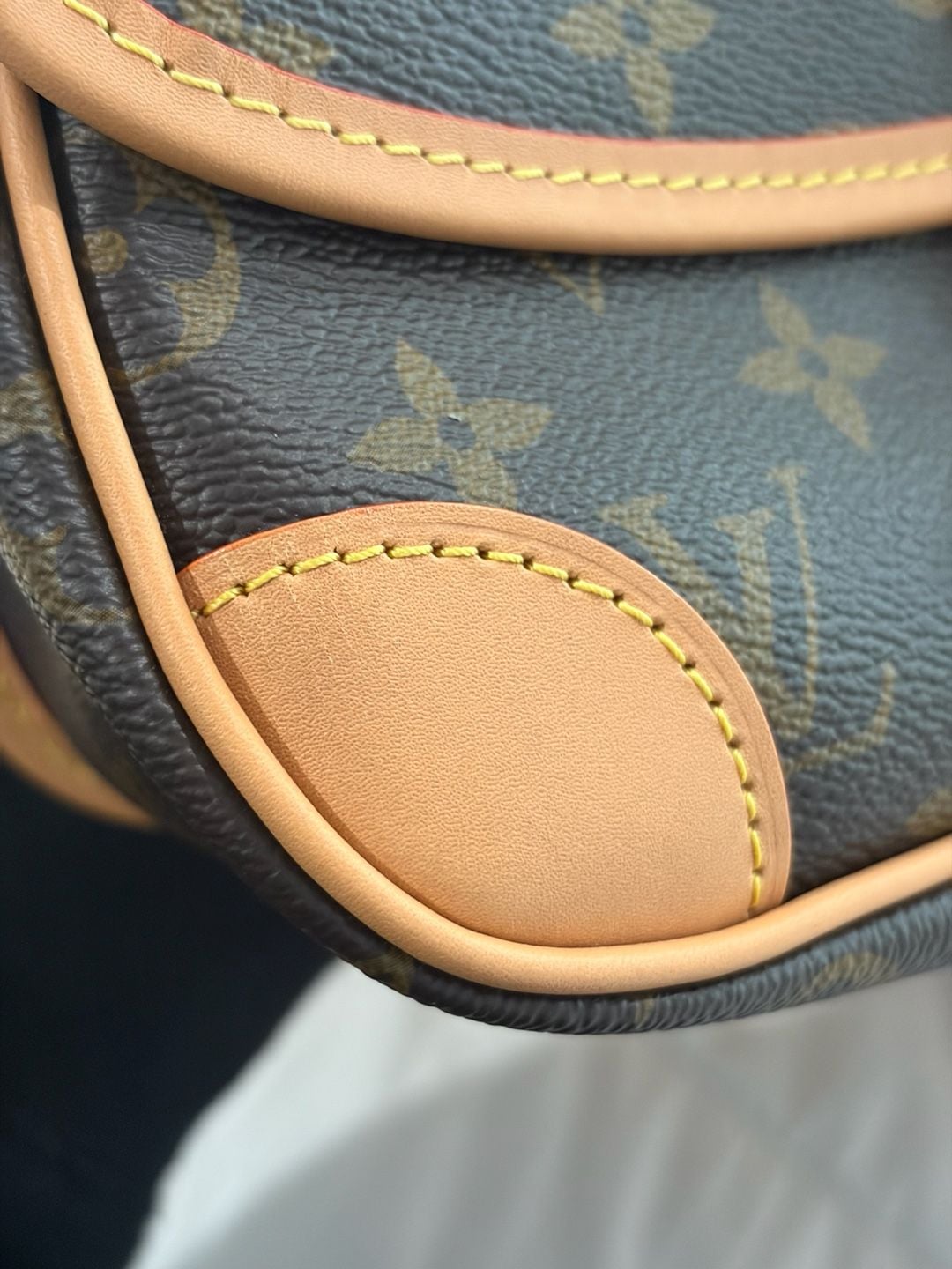 Louis Vuitton Diane Monogram Canvas Satchel Handbag 9