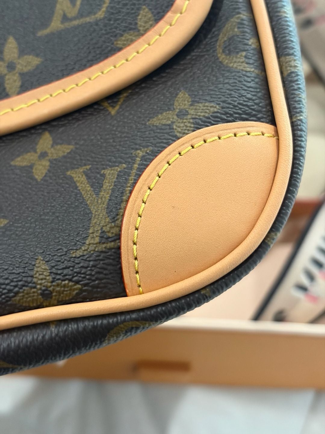 Louis Vuitton Diane Monogram Canvas Satchel Handbag 10