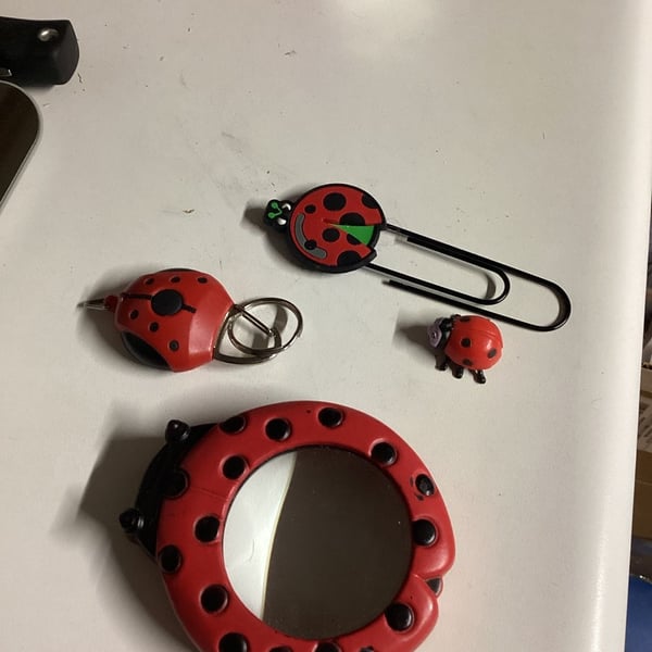 Ladybug Theme Accessories Bundle Mirror Keychain Bookmark Miniature Set