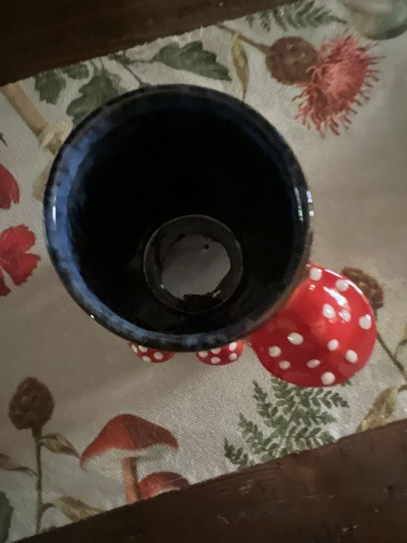 Blue Sky Clayworks Mushroom Mug Blue Red Polka Dot 2
