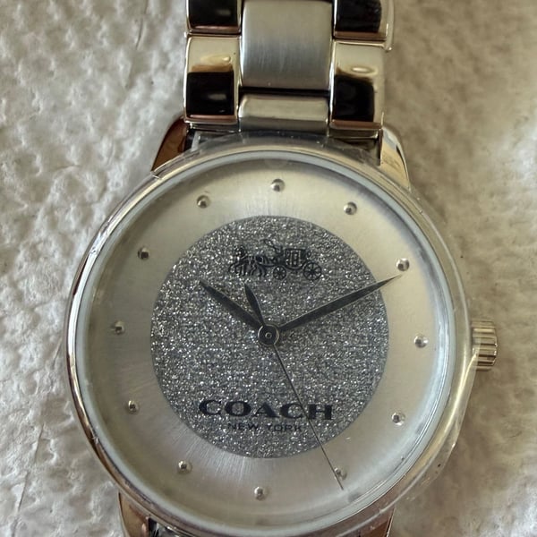 Coach Grand Silver Glitter Dial Stainless Steel Women's Watch