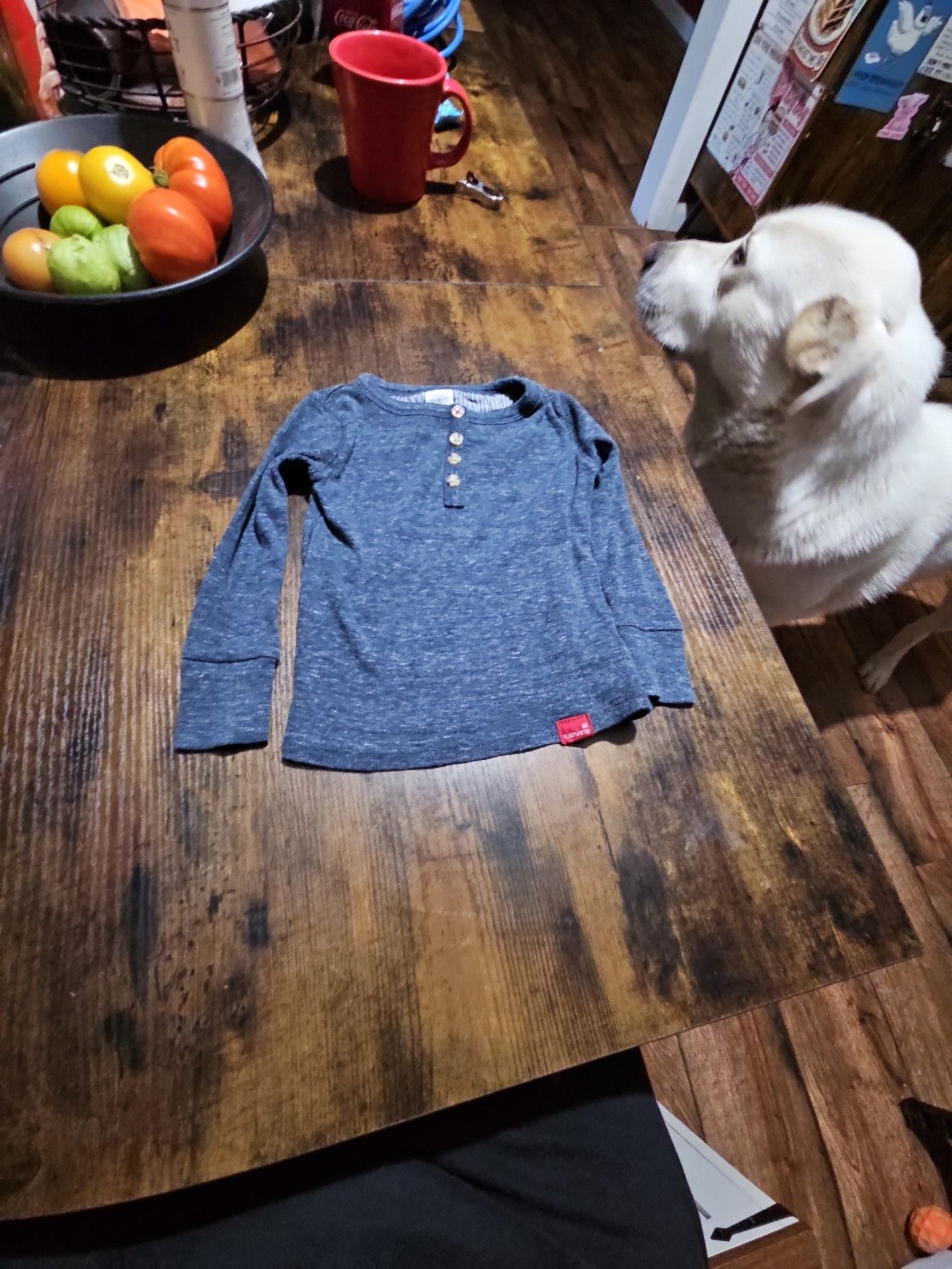 Levi Strauss Kids Size 18 months 2