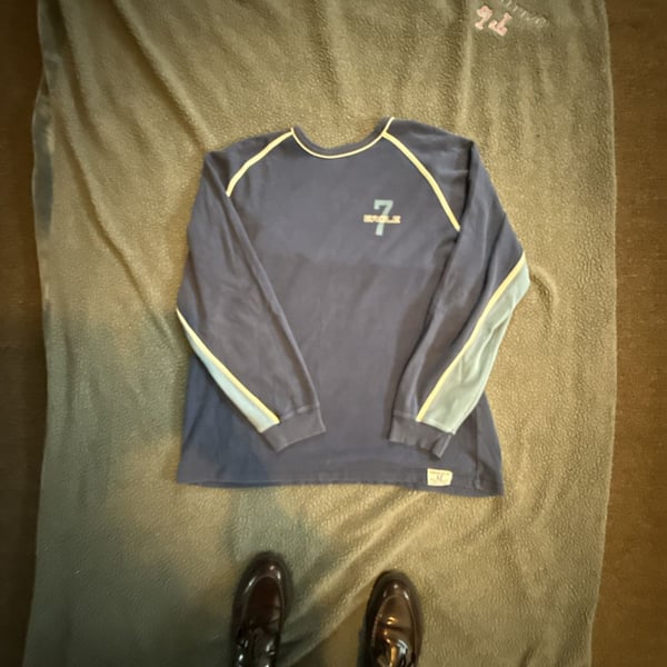 American Eagle Outfitters Long Sleeve Shirt Size XXL Blue