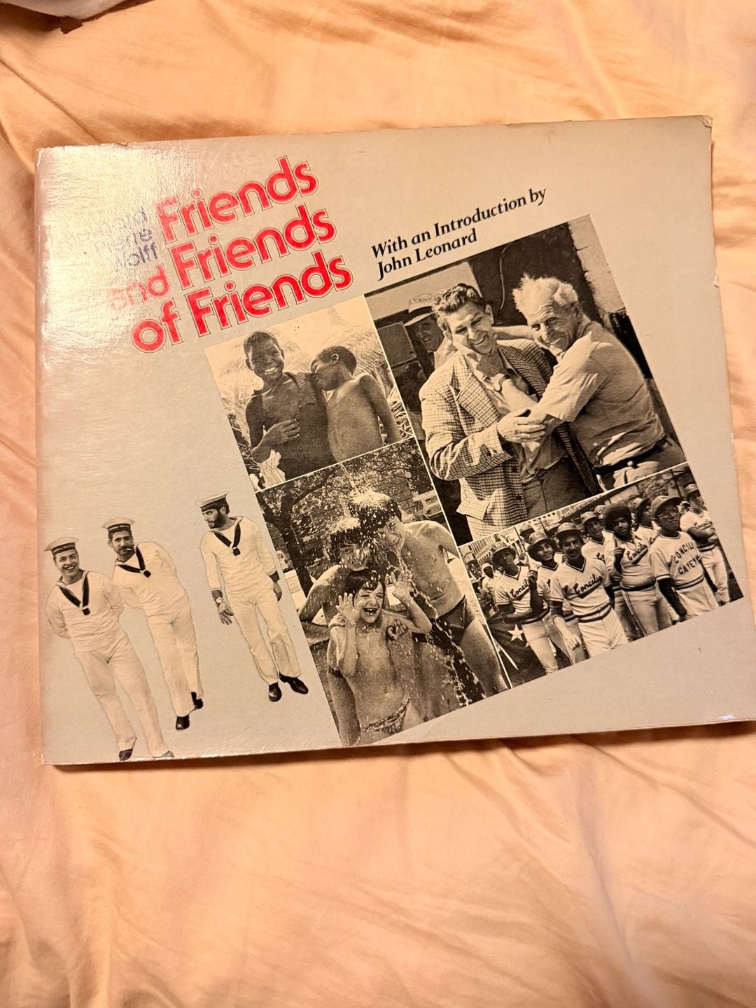 Friends and Friends of Friends by Pierre Wolff Paperback 1