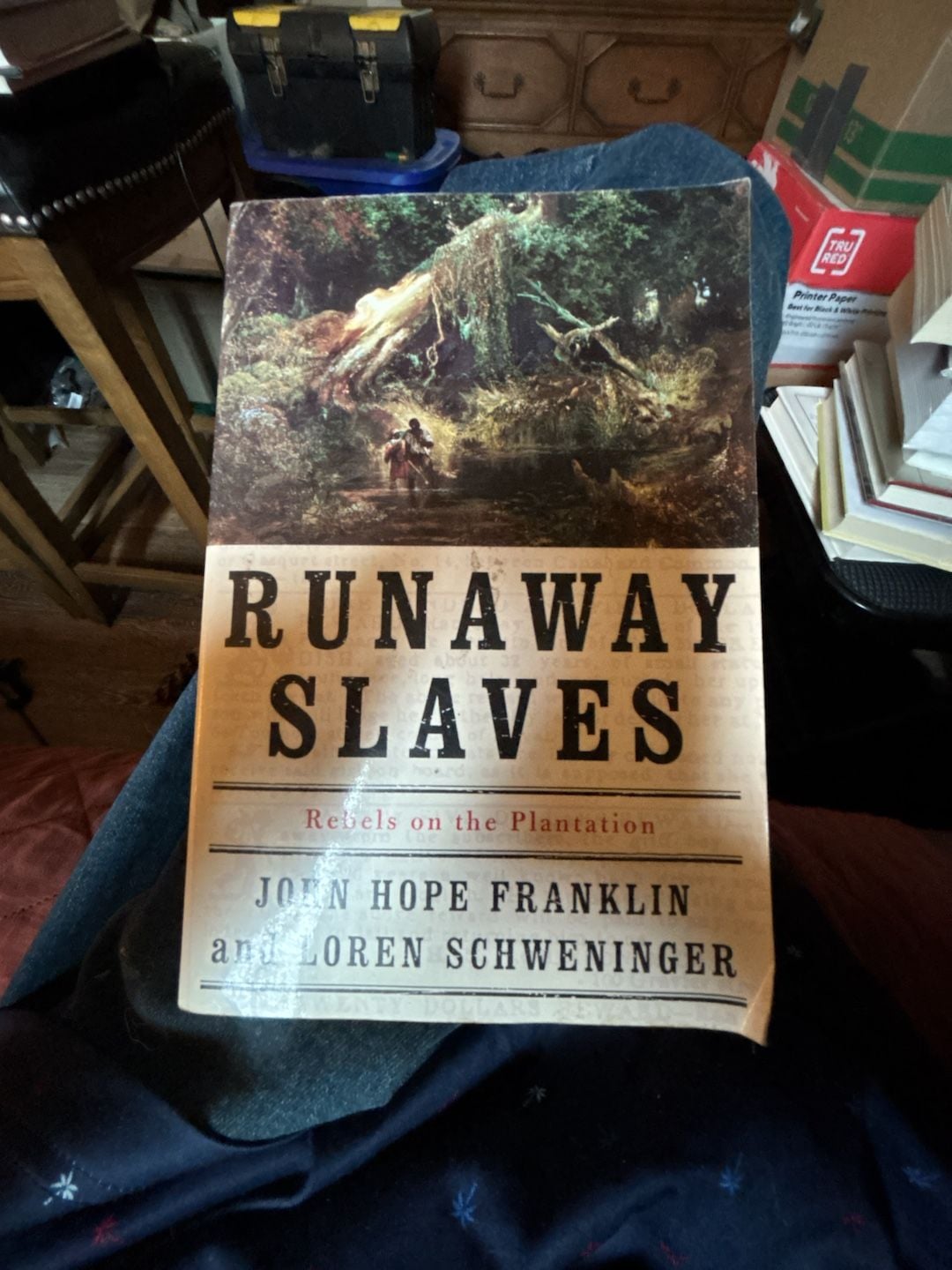 Runaway Slaves: Rebels on the Plantation by John Hope Franklin Paperback 1
