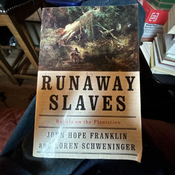 Runaway Slaves: Rebels on the Plantation by John Hope Franklin Paperback