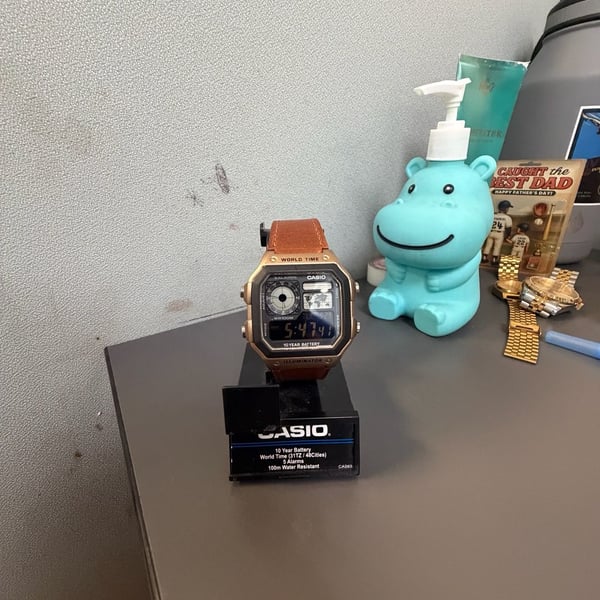Casio AE-1200WH World Time Watch Brown Leather Strap
Half negative face