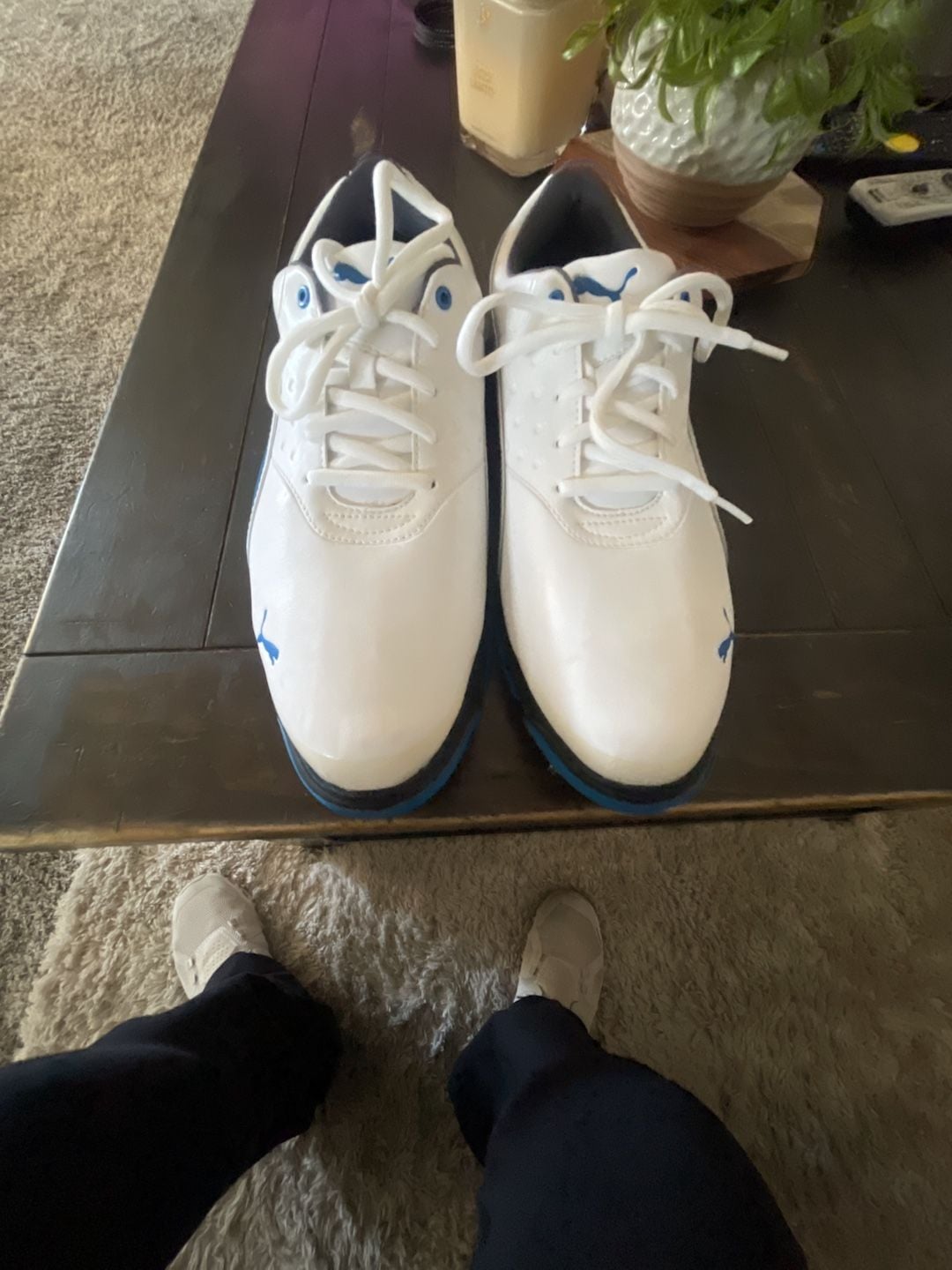 New Puma Amp Sport Golf Shoes White Blue Size 11 3